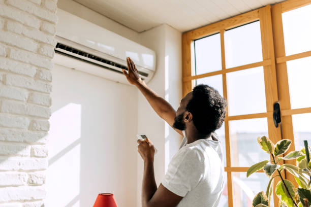 Best Furnace Cleaning in Lakeshire, MO
